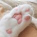 Do cats have 5 or 6 toes?