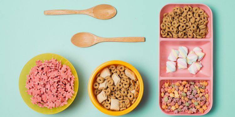Know All About High-Protein and High-Calorie Cat Food