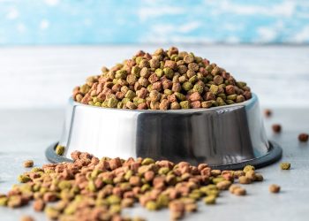 Alternative To Royal Canin Gastrointestinal Dog Food