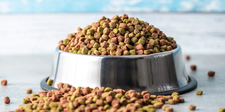 Alternative To Royal Canin Gastrointestinal Dog Food