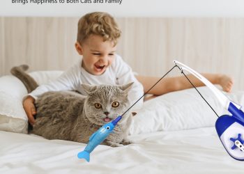 Robotic Cat Toys for 2022