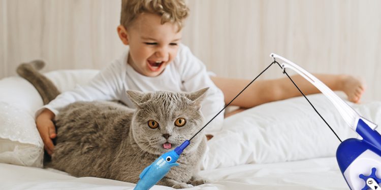 Robotic Cat Toys for 2022