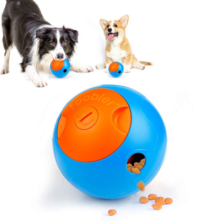 Dog Toys Foobler Food Dispensing Dog Toys With Alert Timer (Dog