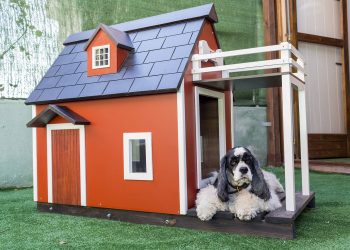 Top Heated Dog Houses 2021
