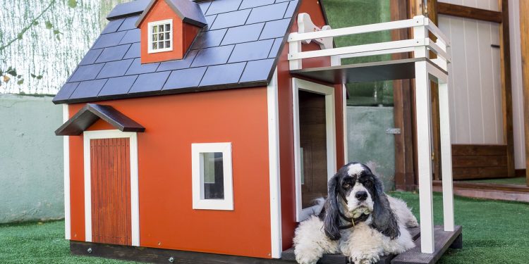 Top Heated Dog Houses 2021