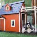 Top Heated Dog Houses 2021