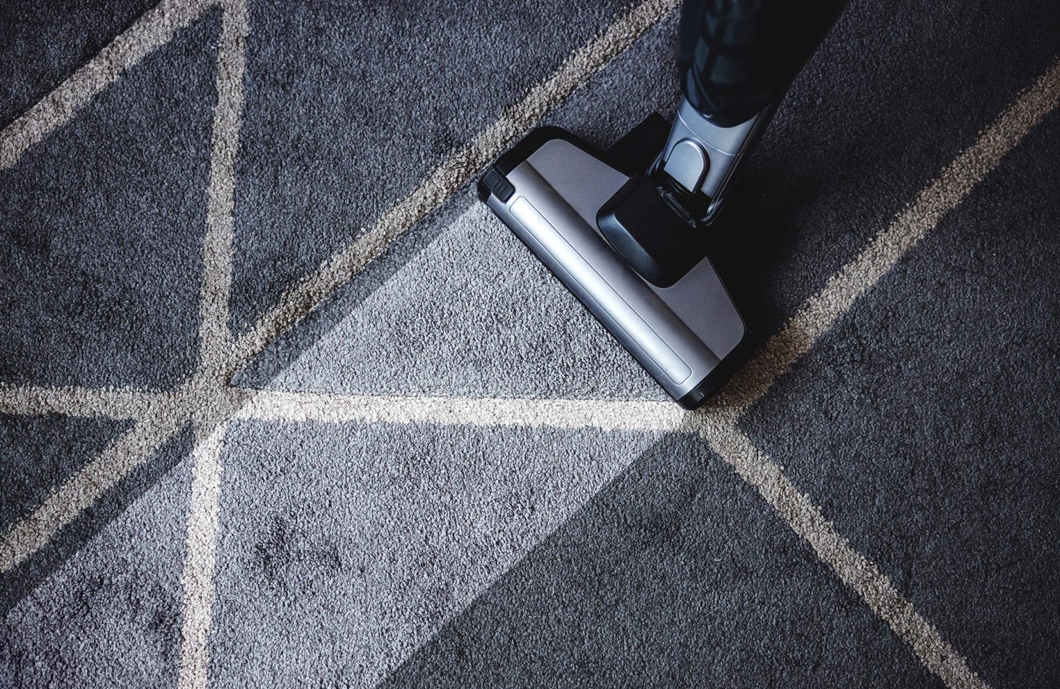Can You Use Shake And Vac With A Dog? YoyiPet