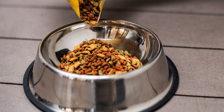 Alternatives to Hill’s I/d Dog Food