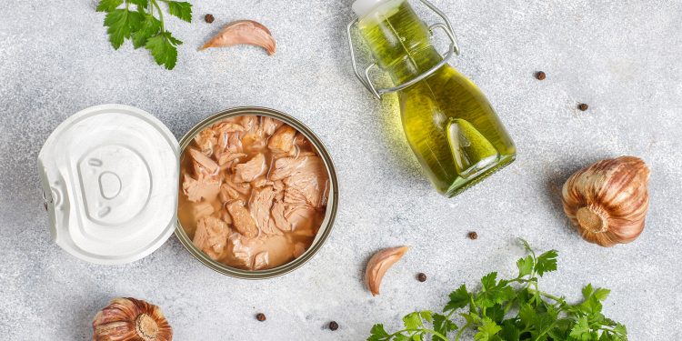 Cat Food Vs. Tuna: Are Cats Safe to Eat Tuna?