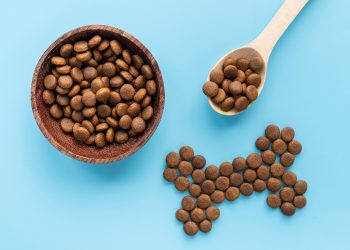 Top Breed Dog Food Vs. Vitality