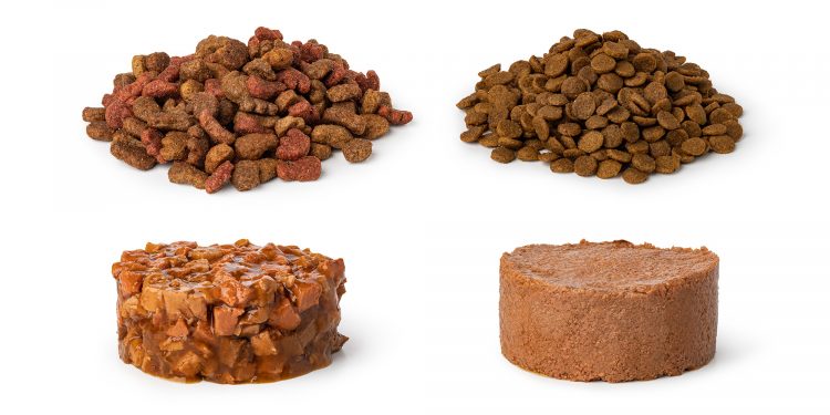 Can Cat Food Go Bad and Stale?