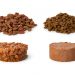 Can Cat Food Go Bad and Stale?