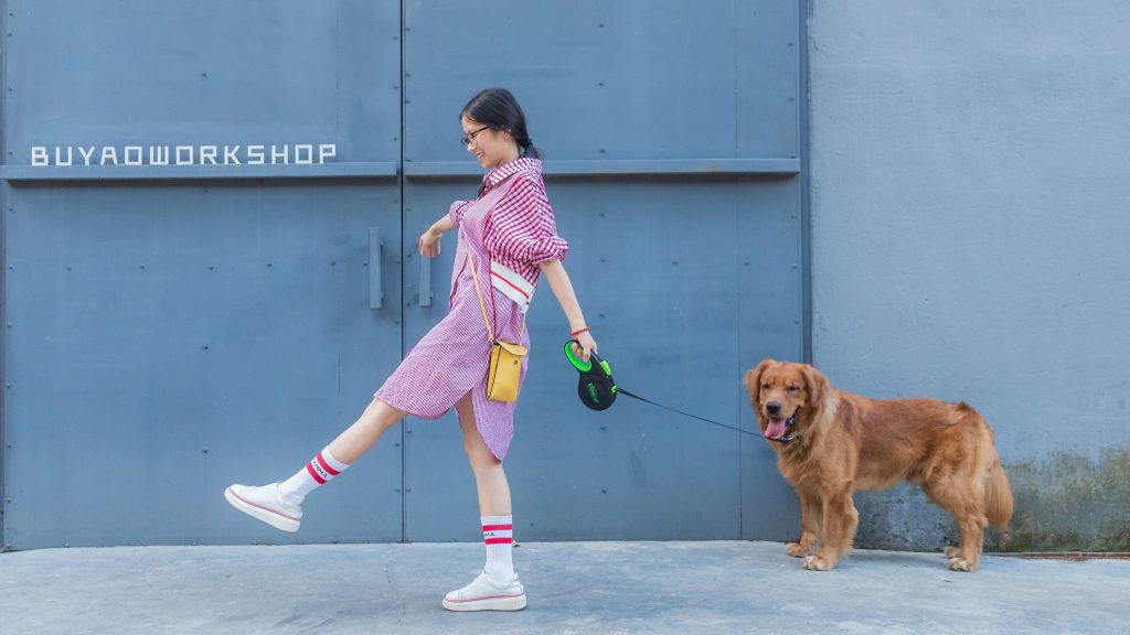 What Is The Least Effective Method To Retrieve A Dog That