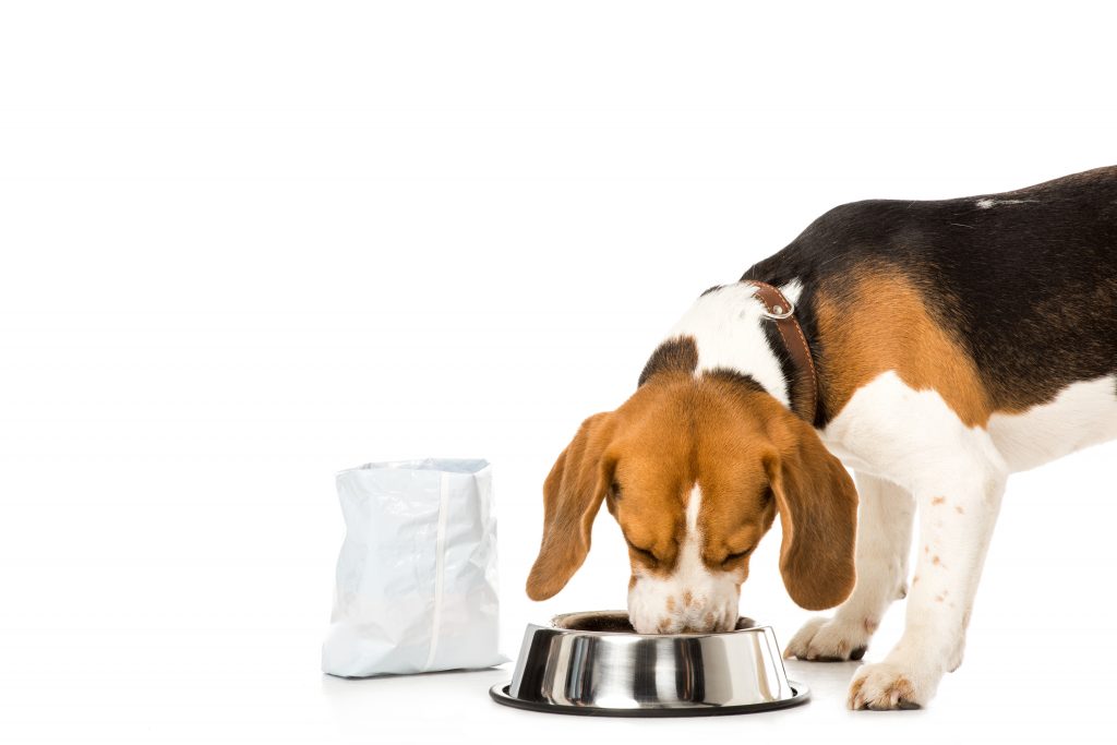 Alternative To Royal Canin Gastrointestinal Dog Food YoyiPet