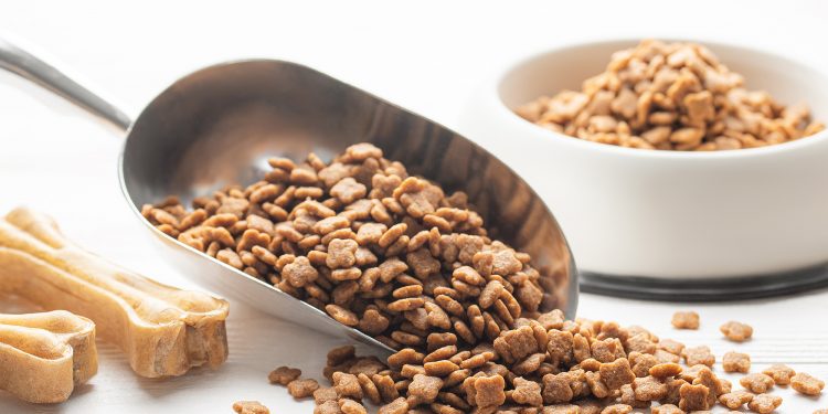 How To Crush Dog Kibble