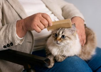 How to get cat hair out of clothes?