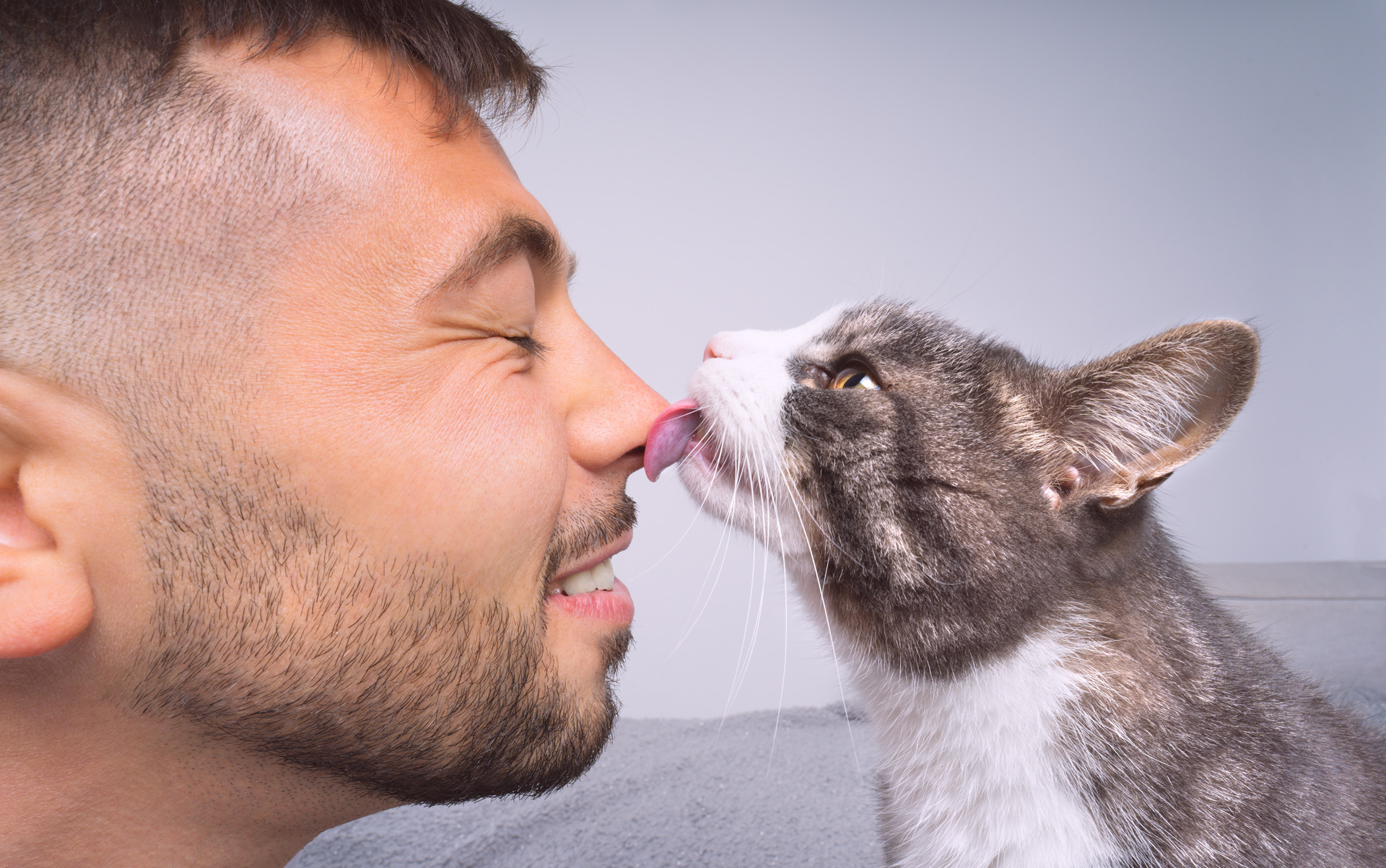 Why does my cat lick my face?