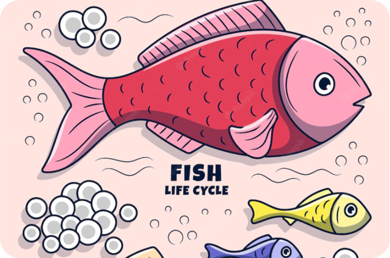 How Do Fish Reproduce? | YoyiPet