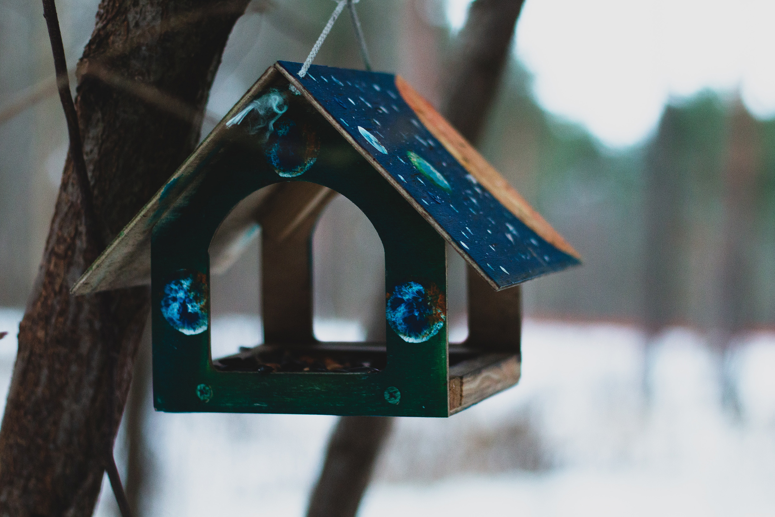 What color should you paint a bird feeder?