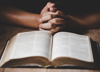 What is the only dog breed specifically mentioned in the bible?