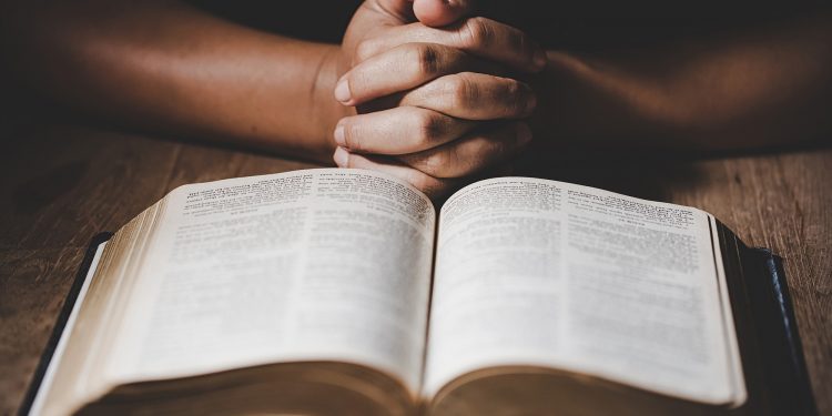 What is the only dog breed specifically mentioned in the bible?