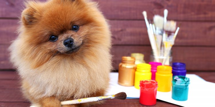 How To Get Gloss Off Dog?