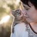Why does my cat headbutt me?