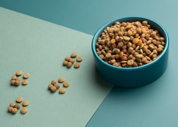 How Does Cat Food Taste Like?