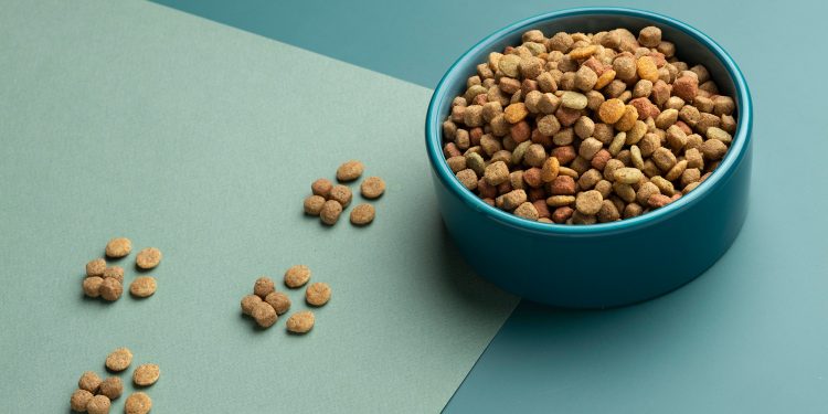 How Does Cat Food Taste Like?